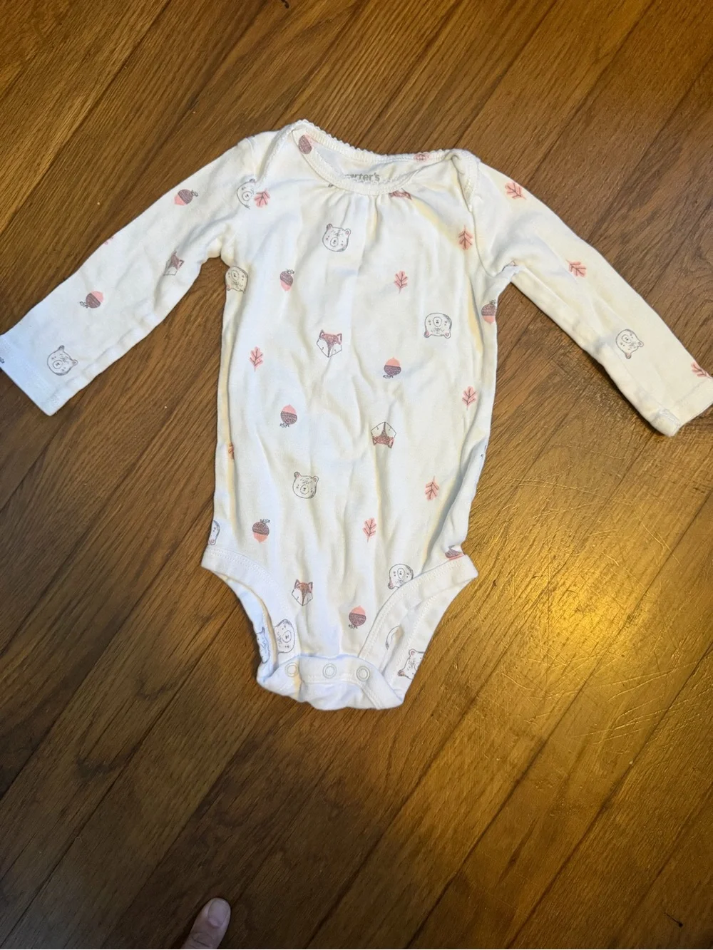 Carters 9 Month Long Sleeve Onesie Bundle